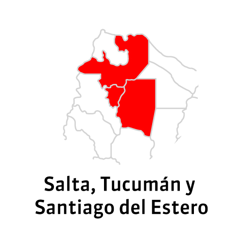 Salta, Tucumán y Santiago del Estero