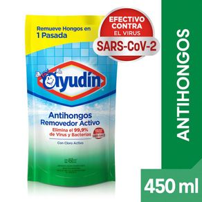 LIMPIADOR-AYUDIN-ANTIHONGOS-REMOVEDOR-ACTIVO-X-450-Ml-1-28810
