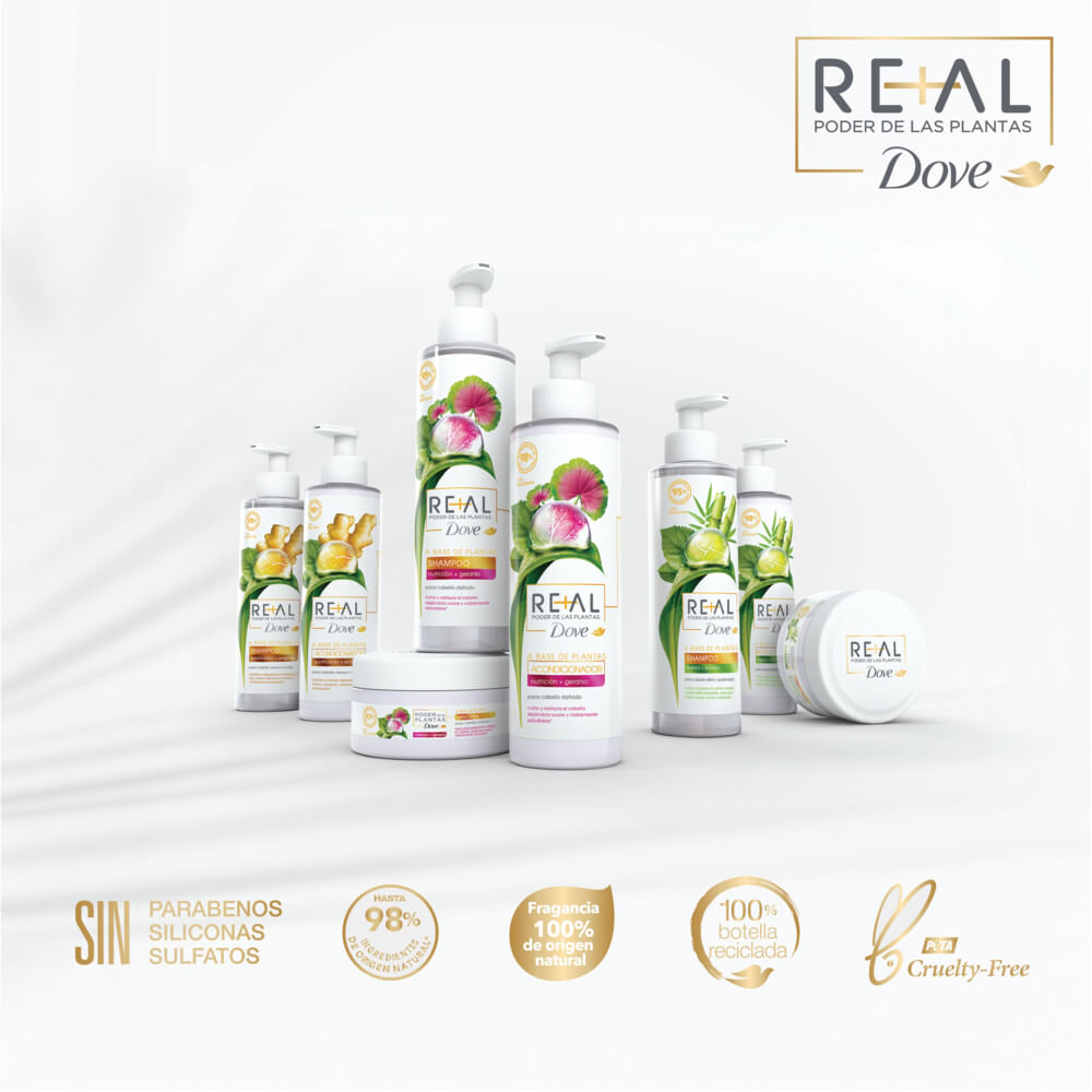 Shampoo DOVE REAL Poder de las Plantas PURIFICACIÓN + JENGIBRE 300 ml