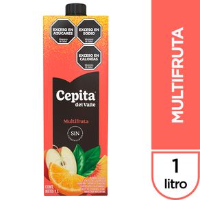 CEPITA-DEL-VALLE-MULTIFRUTA-1-LT-1-11208