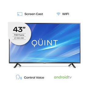 TV-QUINT-43-GOOGLE-TV-1-66315